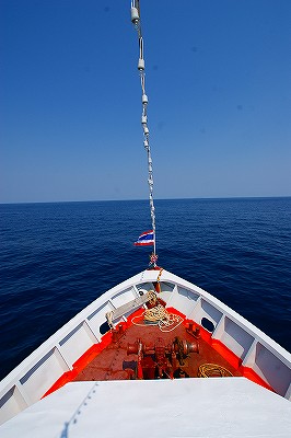 a0117858_173145100.jpg