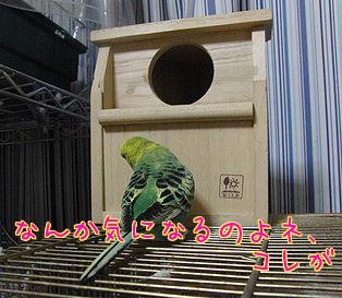 f0196665_033347.jpg