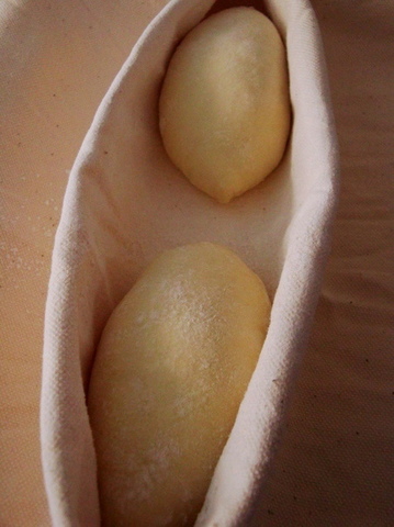 a0139774_241213.jpg
