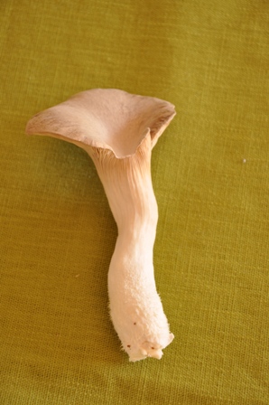 f0178888_22355645.jpg