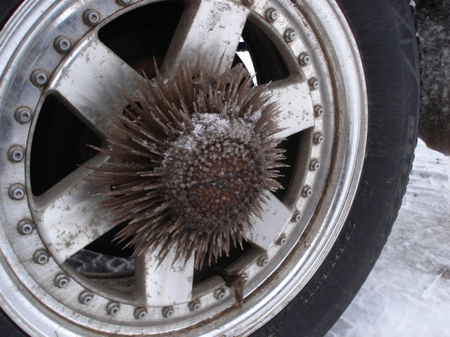 a0115090_2240571.jpg