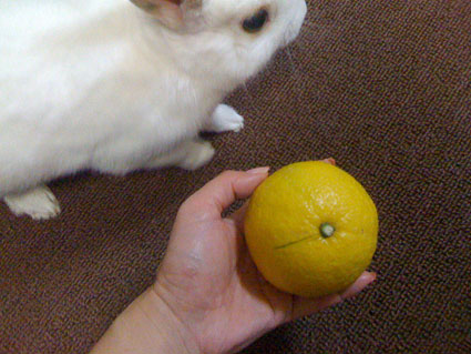 f0201191_032199.jpg