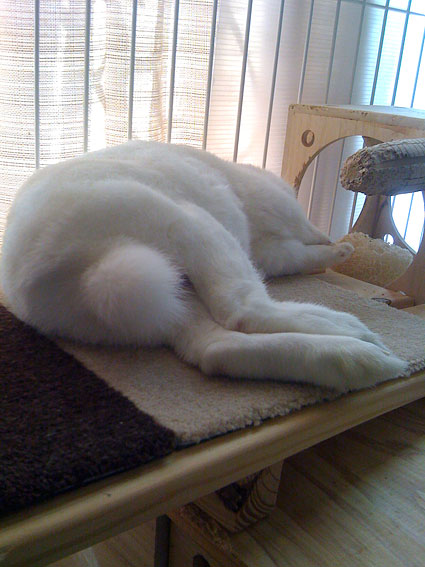 f0201191_14504199.jpg