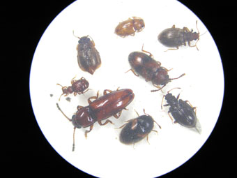 e0083097_21382576.jpg