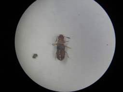 e0083097_22111436.jpg