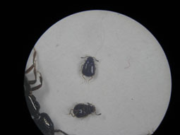 e0083097_2251439.jpg