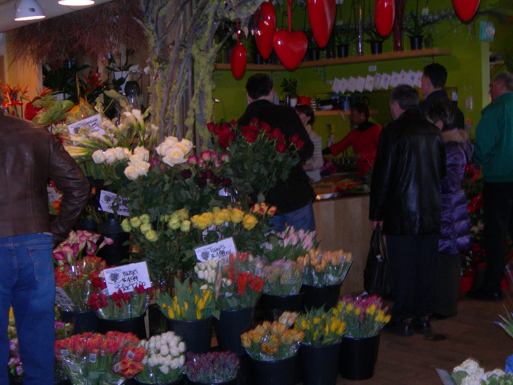 c0220700_13133016.jpg