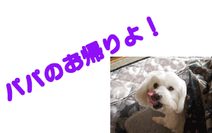 e0025300_21131656.gif