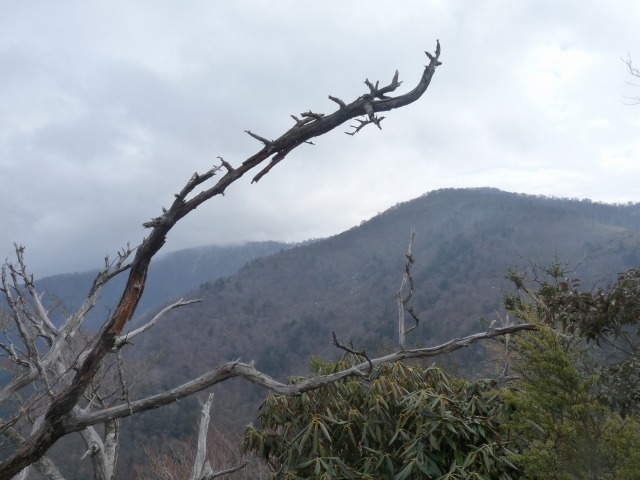 b0025101_0104656.jpg