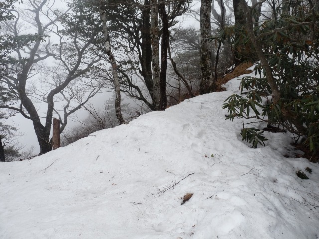 b0025101_028272.jpg