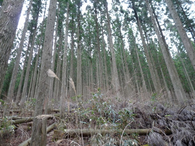 b0025101_0441664.jpg