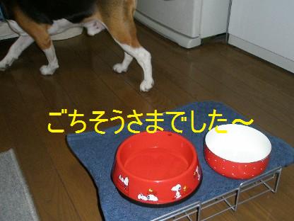 c0205806_1834518.jpg