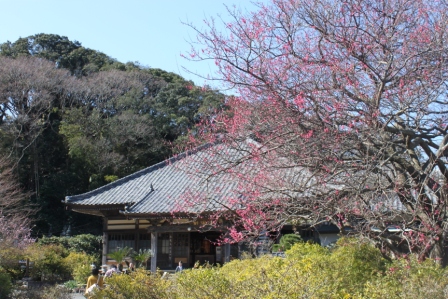 a0147507_1935537.jpg