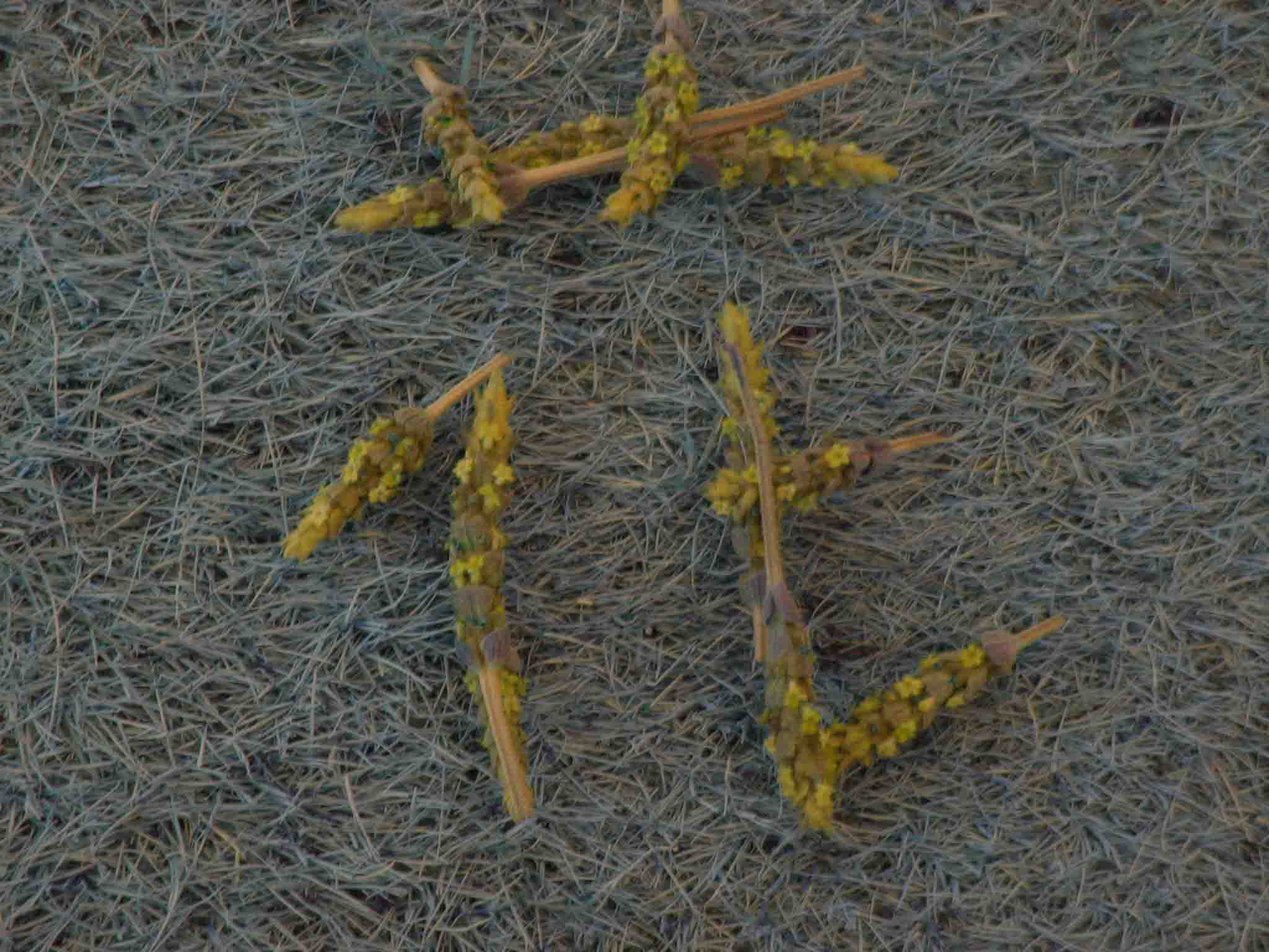 c0219815_22242875.jpg
