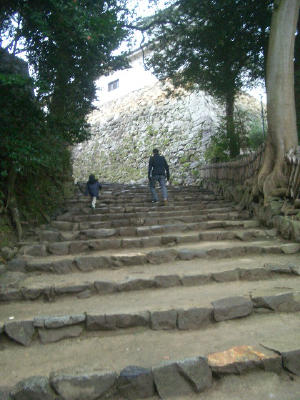 d0064815_10494146.jpg