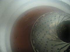 c0140230_1746041.jpg