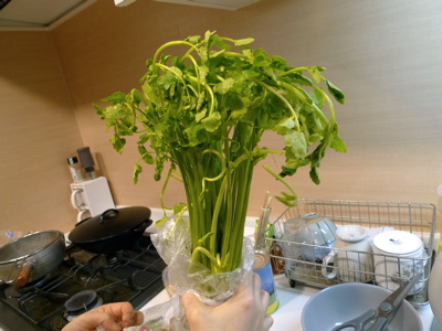 f0165831_0575697.jpg