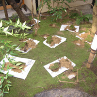 d0033734_16564966.jpg