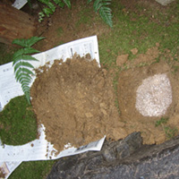 d0033734_16595422.jpg