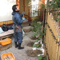 d0033734_170440.jpg
