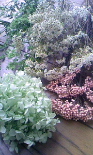 f0200036_14175528.jpg