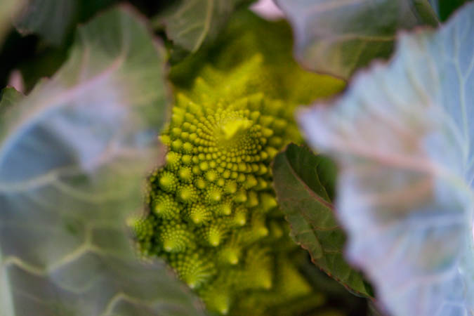 d0139939_182965.jpg