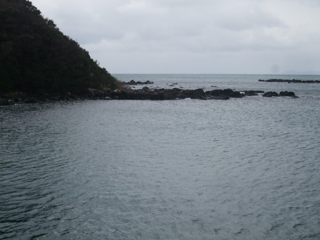 c0019951_225942.jpg