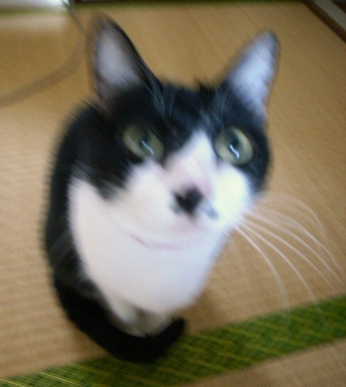 c0138553_1643186.jpg