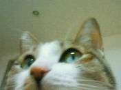 c0052756_2310227.jpg