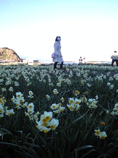 f0082659_1421888.jpg