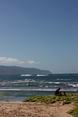 a0048361_694548.jpg
