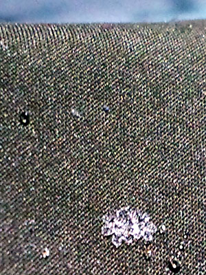 c0050264_1126416.jpg