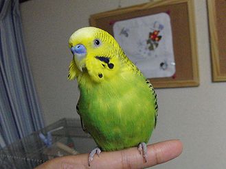 f0196665_23215782.jpg