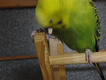 f0196665_23321841.jpg