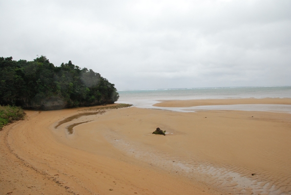 f0065768_22111775.jpg