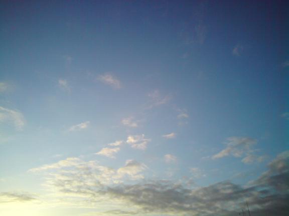 c0122788_52365.jpg