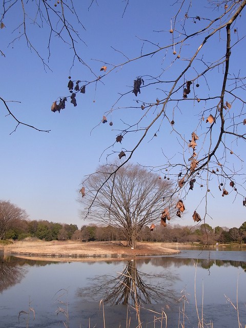 d0102497_0132160.jpg