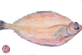 f0008597_216218.jpg