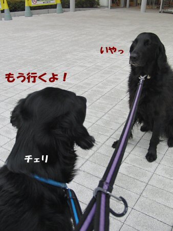 c0050400_21573910.jpg