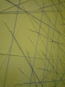 f0191500_991199.jpg