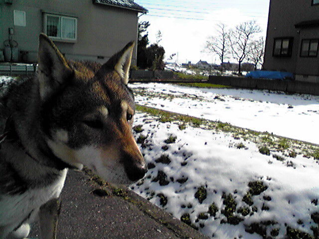 f0079202_15535419.jpg