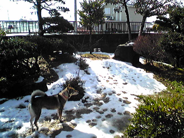 f0079202_15535492.jpg