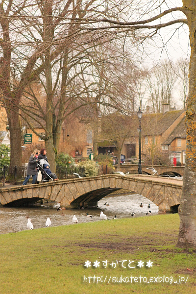 e0022303_6571821.jpg