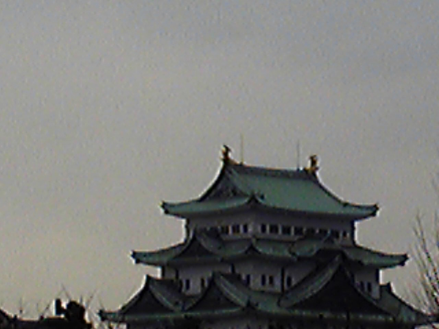 e0015108_8111859.jpg