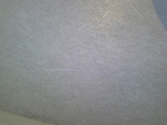 e0015108_8255927.jpg
