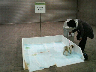 f0127408_23134186.jpg