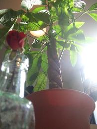 c0229214_17134838.jpg