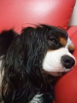 b0072515_20114052.jpg
