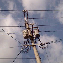c0036617_6432693.jpg