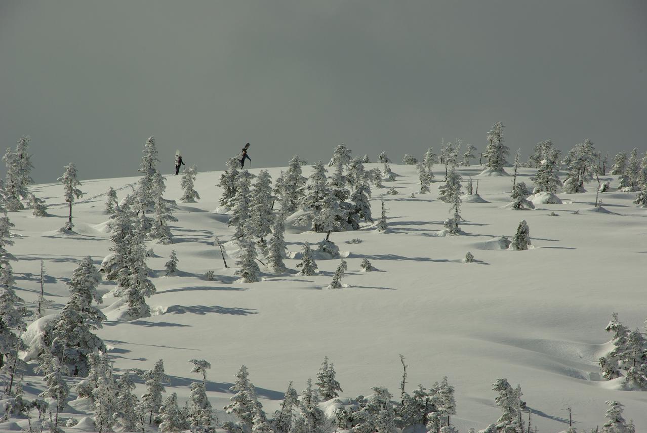 b0062024_20111337.jpg